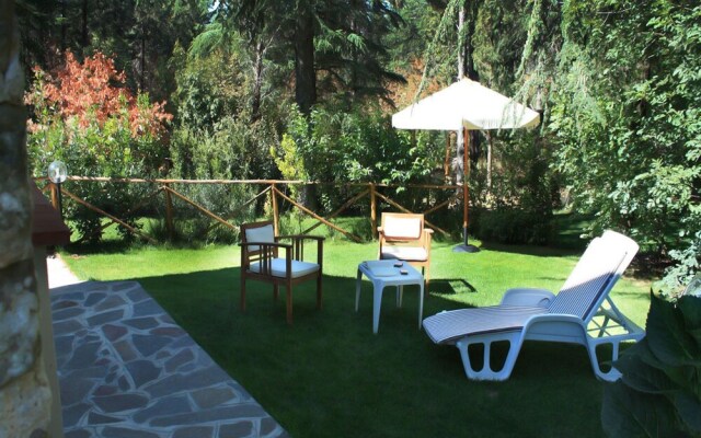 Castellare in Chianti