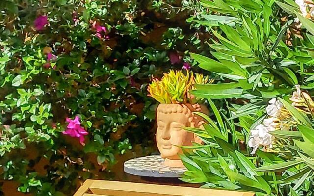 ZenZontle GlampingSMA By Rotamundos