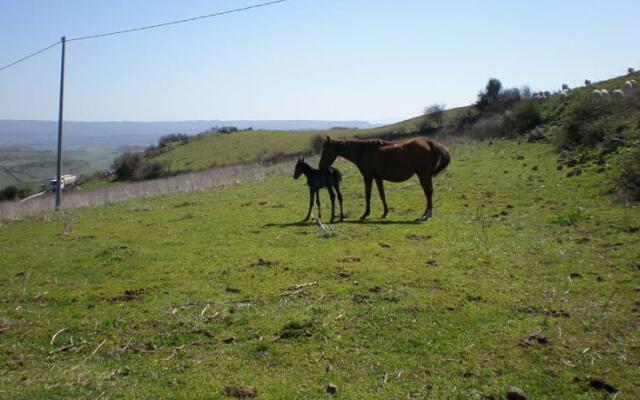 Agriturismo Montealma
