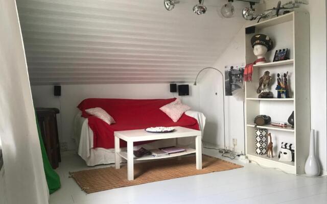 The Cozy Little House