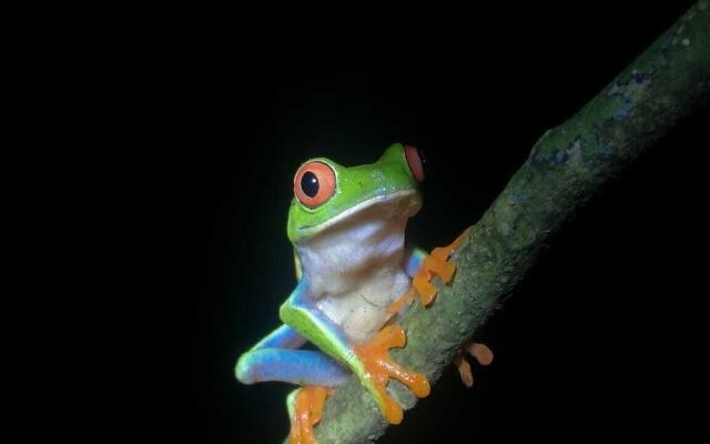 Cabinas Ecogarden Arenal