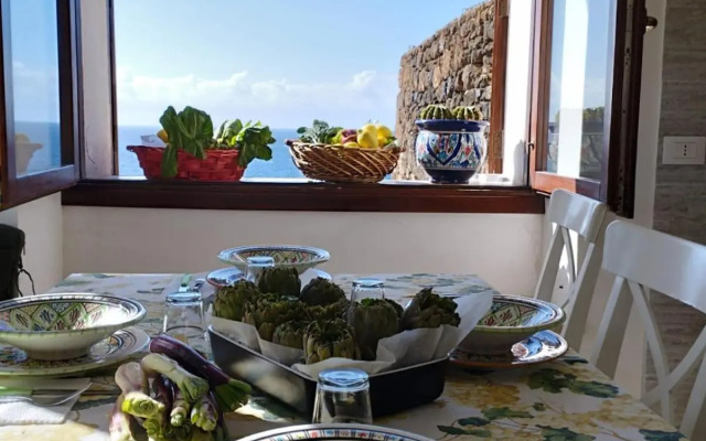 Radyshams Dammusi Le Palme & Bait