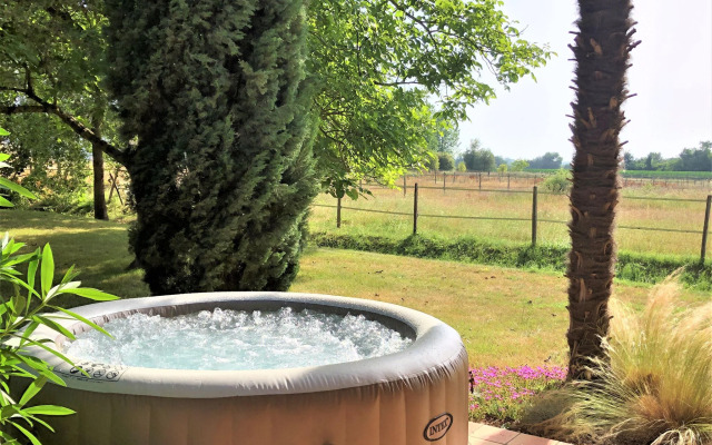 Charming house with private spa and terrace near Duras