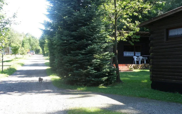 Tidy Furnished Wooden Chalet near Forest