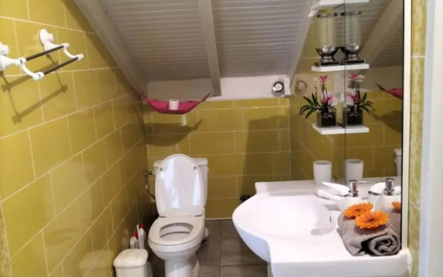 La mélodie des oiseaux