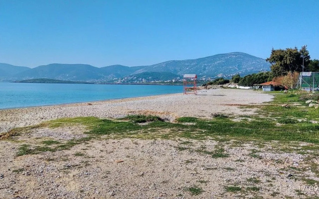 Spacious house with seaview