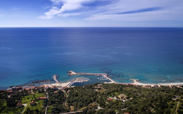 I Fiori Di Donna Ester