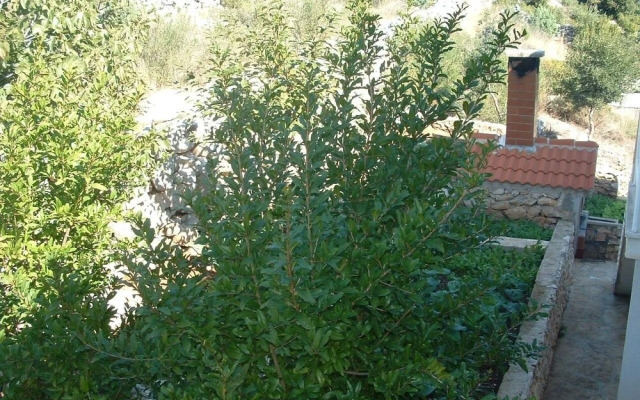 Ante - Perfect sea View - A2