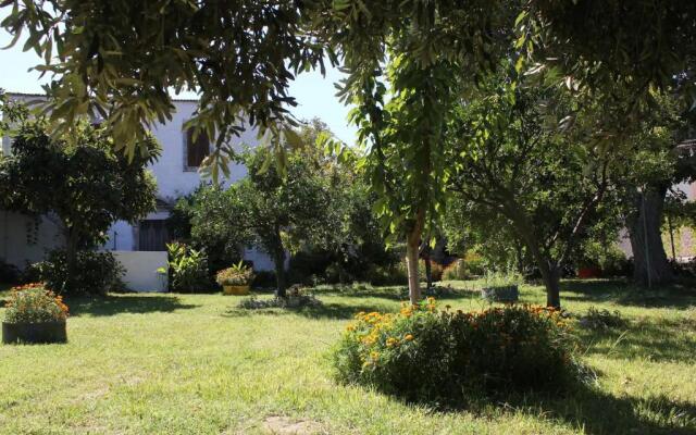 The House In The Country