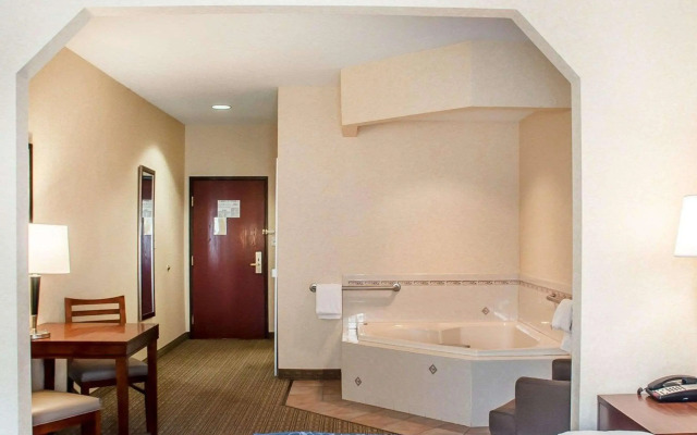 Comfort Inn And Suites Hamburg