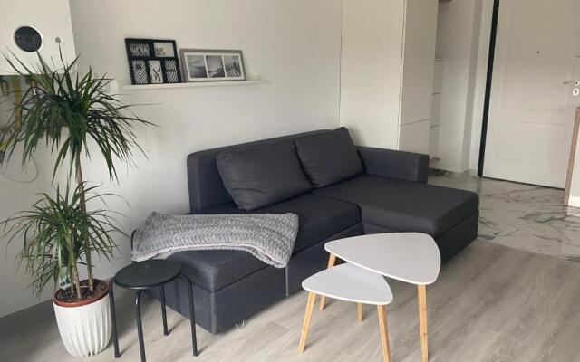 Maia Minimalist Studio