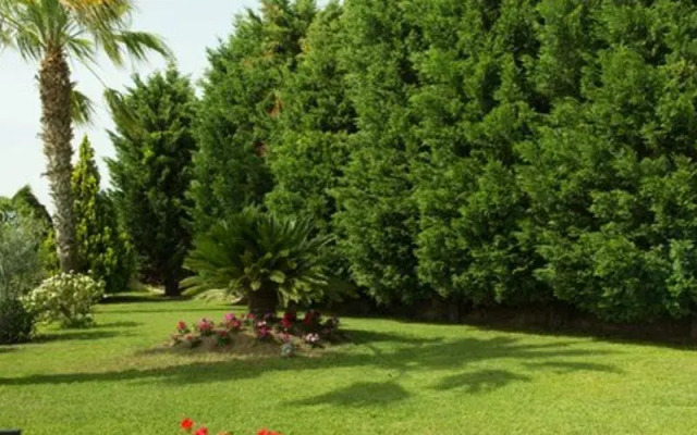 Villa Rana