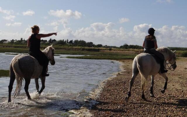 Front de mer - Victoria - Appartement 120m2