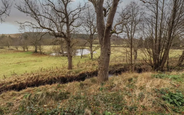 Woodland