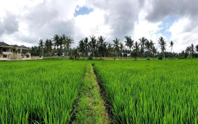 RC ubud villa