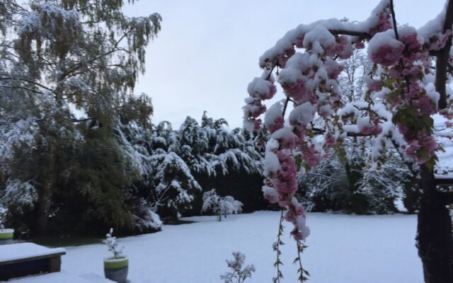 Bearsden Bed & Breakfast