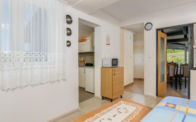 Amazing Home in Zupanje With Wifi and 1 Bedrooms