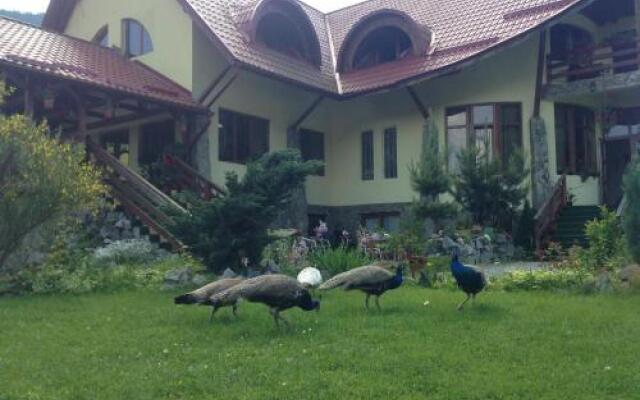 Pensiunea Vidra de Sus