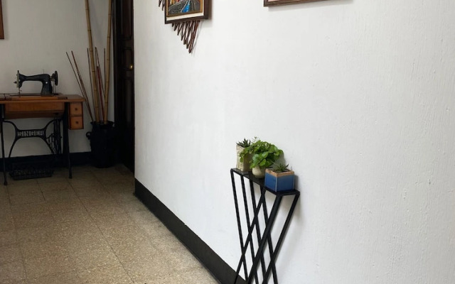 Habitaciones Eco-Terrazas