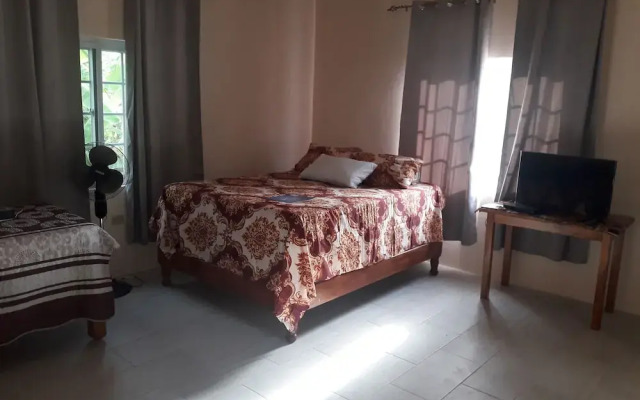 The View (1bed)