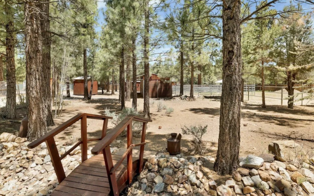 ONE Hundred Pines Ranch #2005