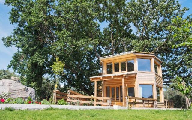 Romantic Tree House