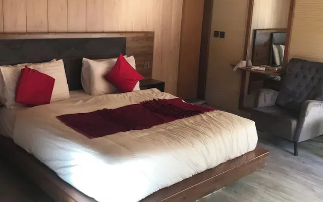 Hotel Village Inn Naran