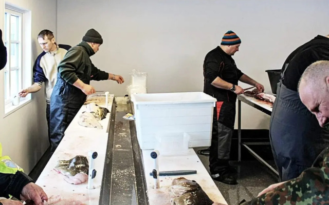 4 Person Holiday Home in Sula