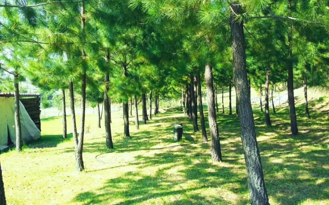 Rancho San Miguel