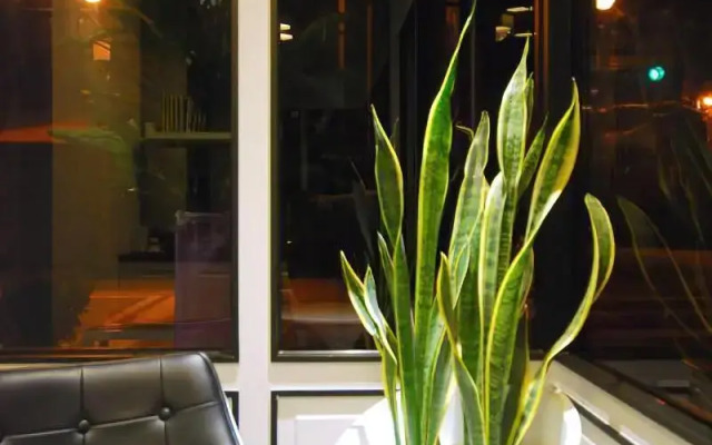 Small Hotel