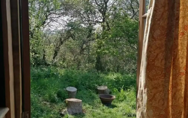 Totnes - Cabin - Sleeps 4 - Garden - Parking