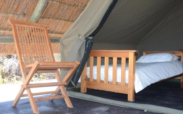 West Coast Luxury Tents- Glamping