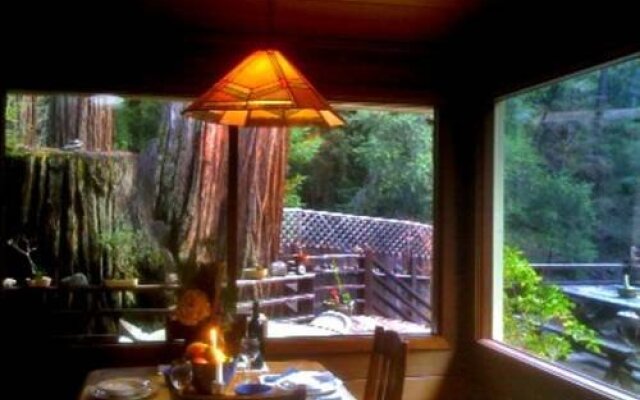 Sequoia Beach Dreamery