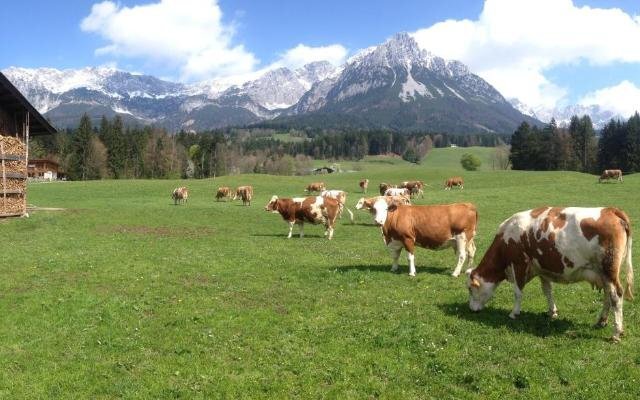 Oberachenhof Frühstückspension Bauernhof