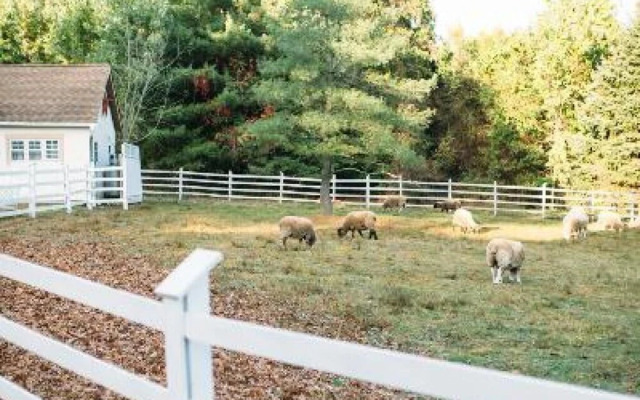 Ash Mill Farm Bed & Breakfast