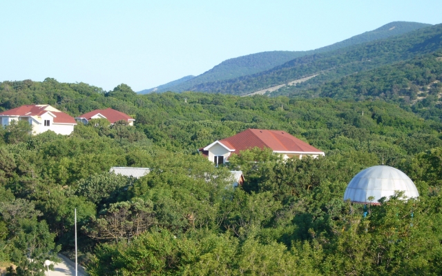 Morjak