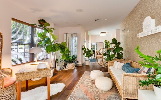 The Plymouth South Beach