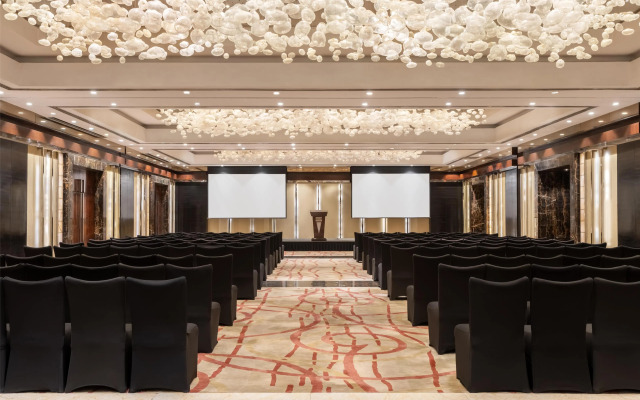 Radisson Blu Plaza Delhi Airport
