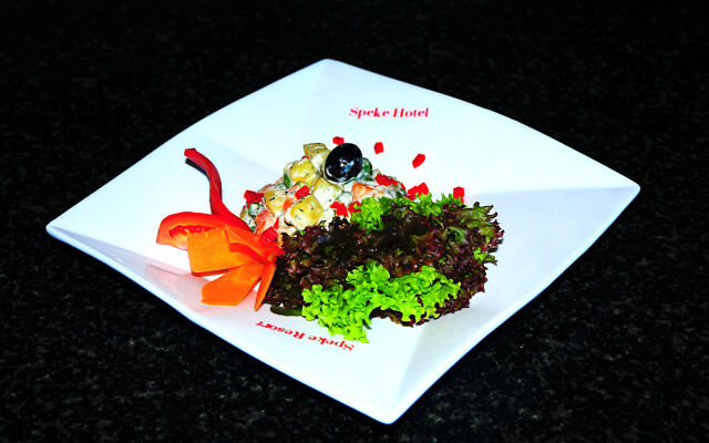 Speke Resort & Conference Centre