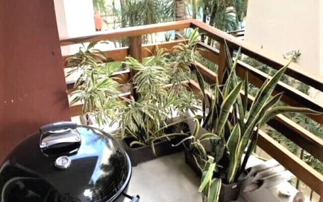 Ipana Dream Downtown Playa del Carmen