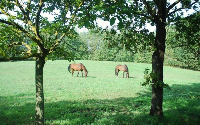 Bed & Breakfast Cascina Cin Cin