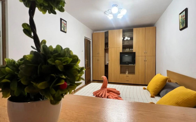 Miha modern and central apartament Malul Mureșului