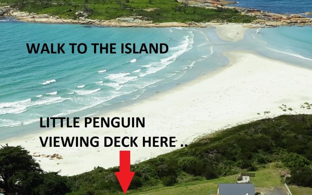 Diamond Island Resort & Bicheno Penguin Show