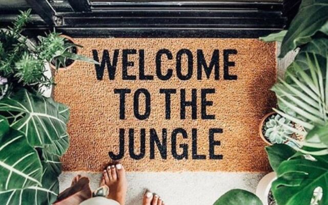 The Urban Jungle Hostel