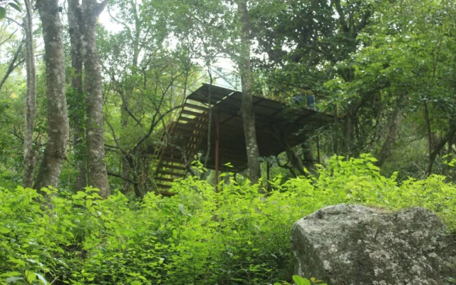 Secret Valley Jungle Resort
