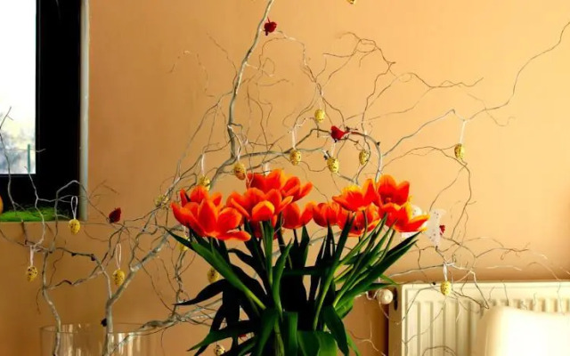 Pokoje Gościnne u Kovi