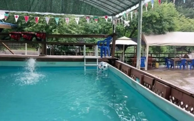 Hongcheon Bandi's Herb Pension