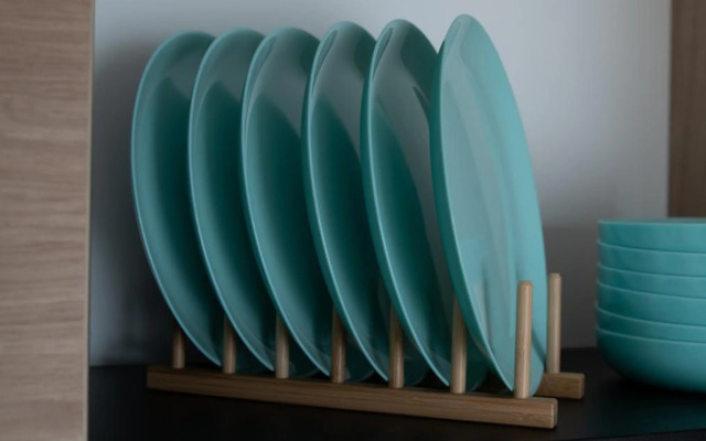 Palmes.pirmas.sezonas