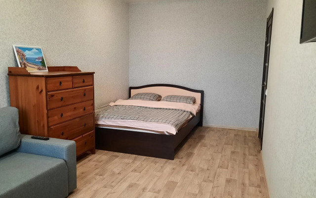 Иляна на улице Емлина 29А - фото 2