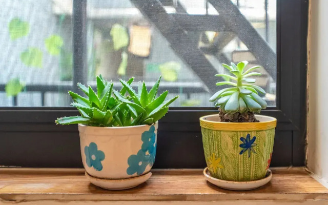 XingLong No.37 Hostel